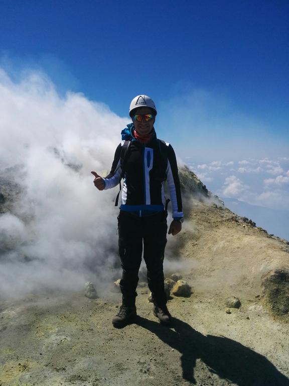 Volpe Dell'etna