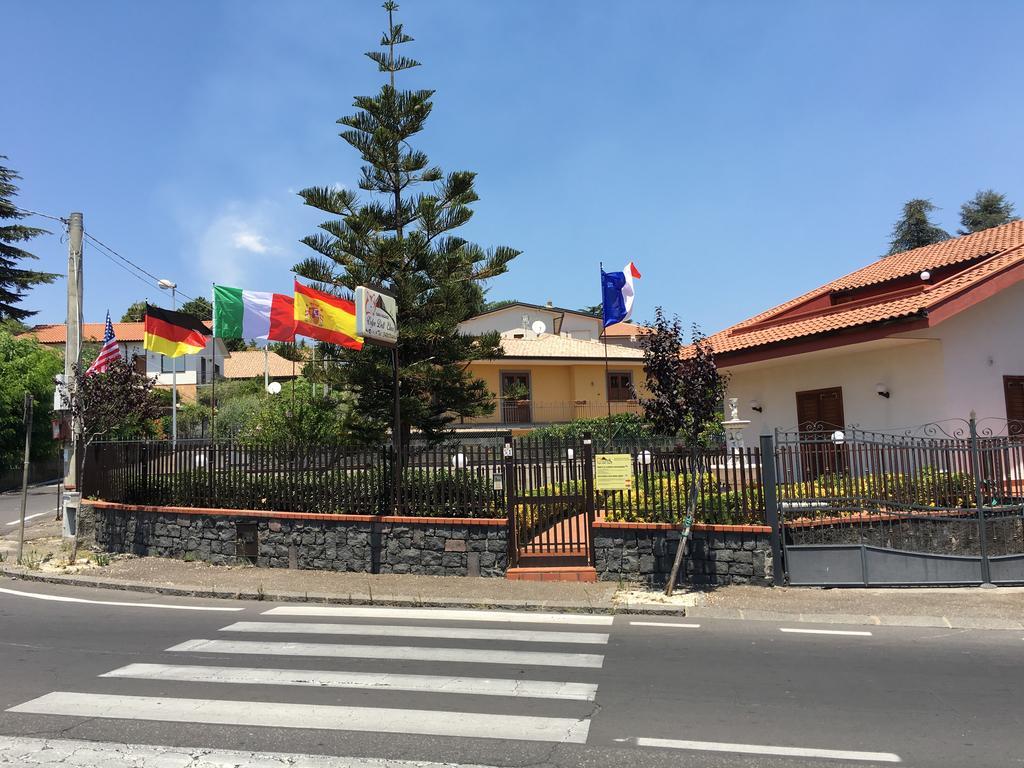 Volpe Dell'etna *
